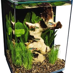 Marineland Portrait Glass Aquarium, 5 Gallons