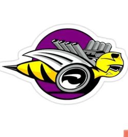Dodge Ram Rumble Bee Decals- Vinyl 