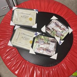 Document Frames 8.5x11