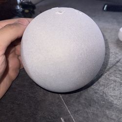 Amazon Alexa 4th Gen