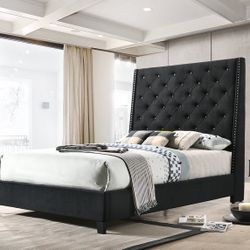 Black Velvet King Upholstered Bed / Mattress Included New In A Box     Cama Medida King Size Color Negra / Colchon Incluido. Nueva En Caja 
