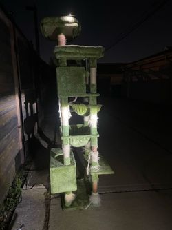 Green Cat Tree from Gitelsnour