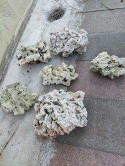 Live Rocks for Saltwater Aquarium