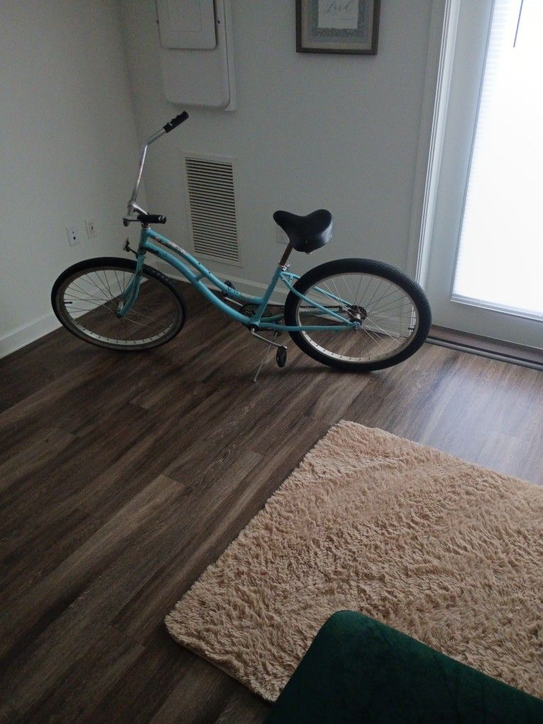 Beach Cruiser 