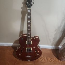 Douglas Electrocoustic Guitar 