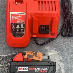 Milwaukee M12 and M18 12-Volt/18-Volt Lithium-Ion Rapid Battery Charger and Xc 5.0 battery 
