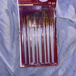 Paint Brushes 15 Pc