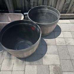 Flower Pot 