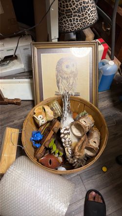 Owl decor