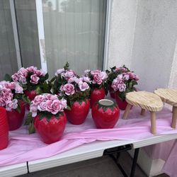 Strawberry Theme Party Items 