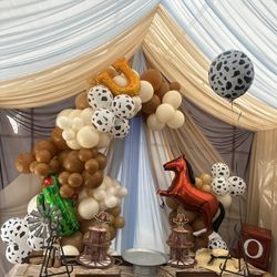 Rodeo Balloon Backdrop