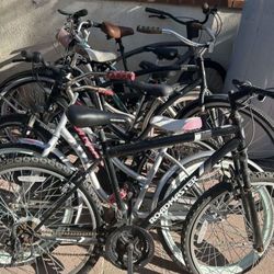Adults Bikes 