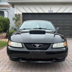 Full Wrapped Gloss Black 