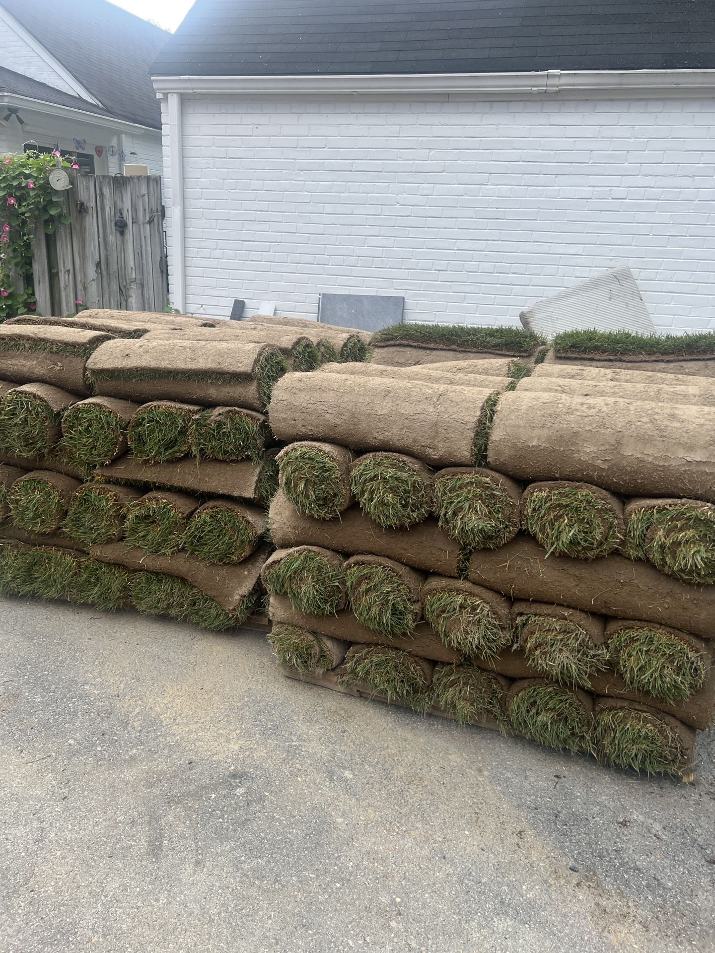 Fresh Sod Cut Every Morning
