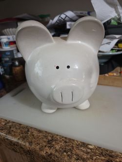 Pig piggy bank