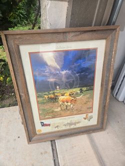 Collector's Series Texas Longhorn Tough Barnwood Frame Picture