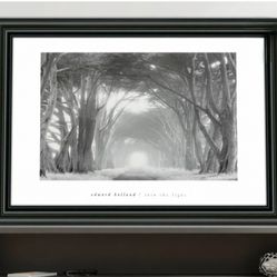 Panting Into the light artist Edward hollend