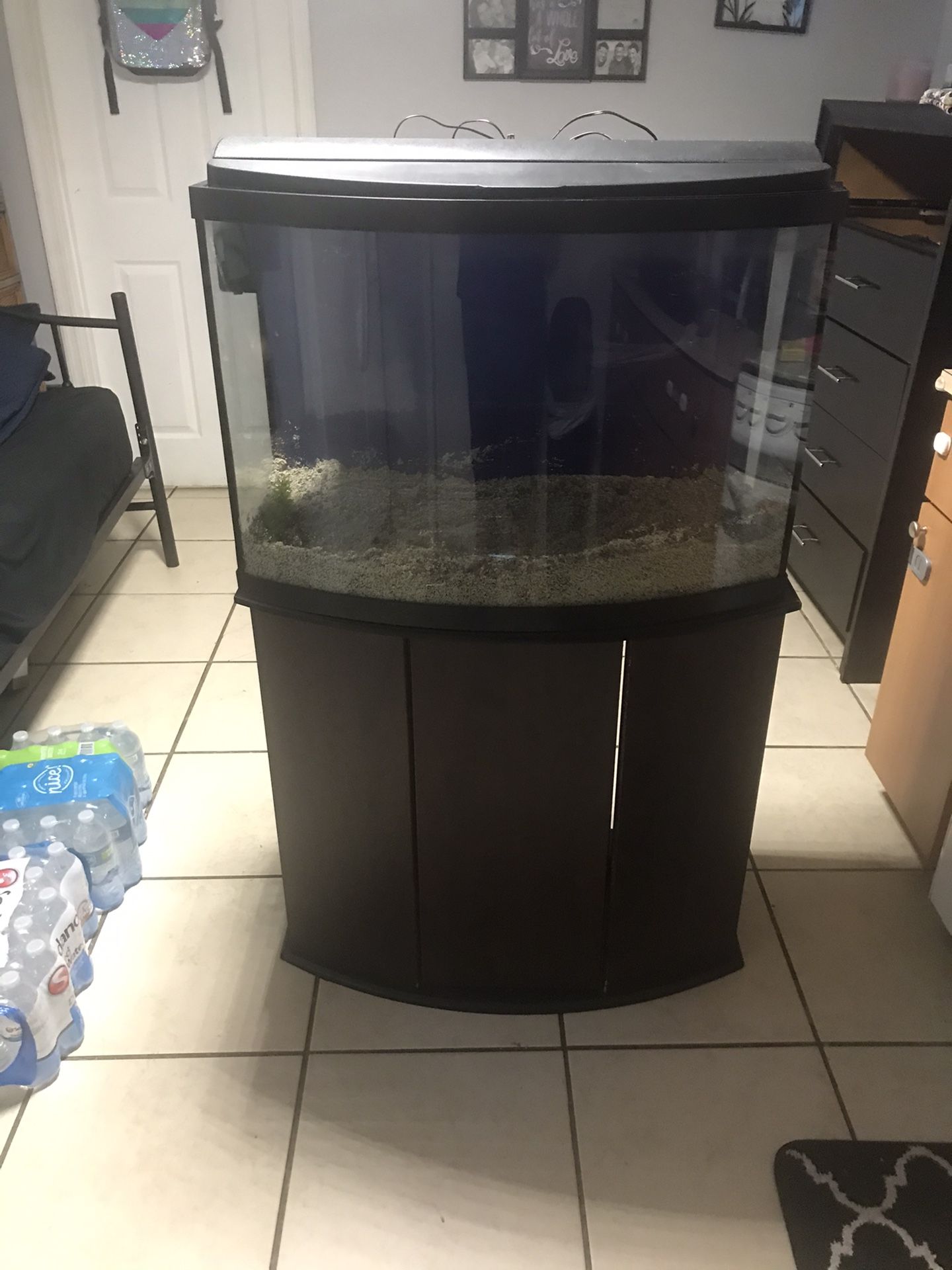 36 gallon Bowfront Fish Tank