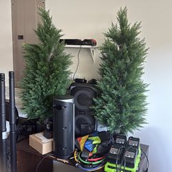 Cedar trees 4 ft -set of 2