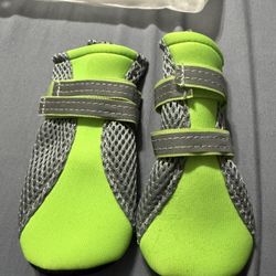 Dog shoes (Xl) 