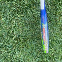 Raptor Rawlings Bat
