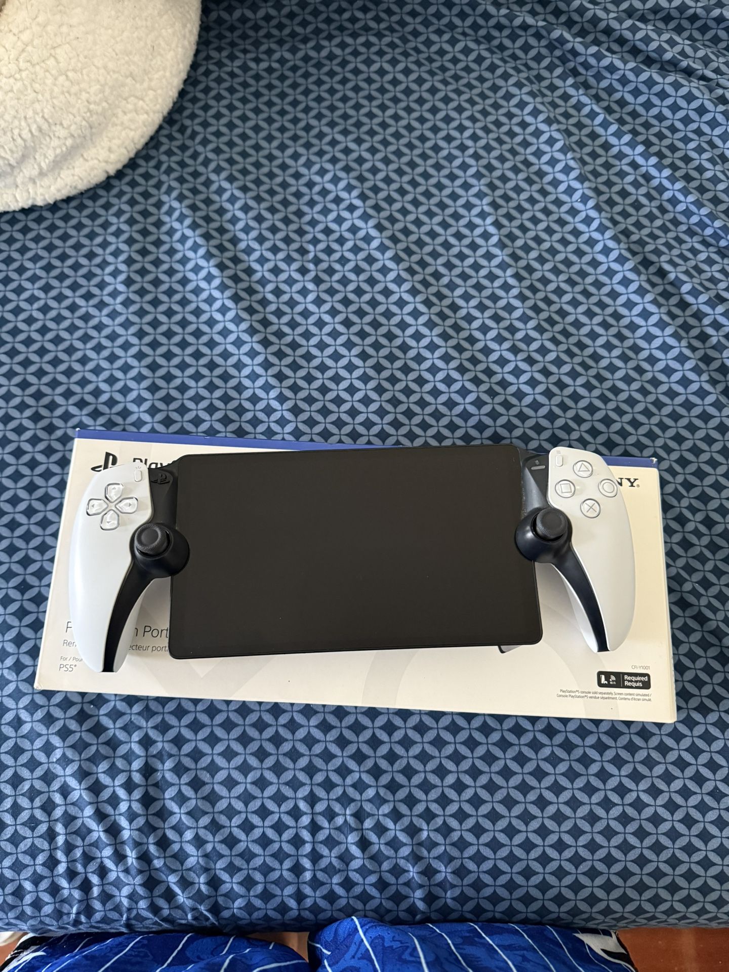 Playstation Portal