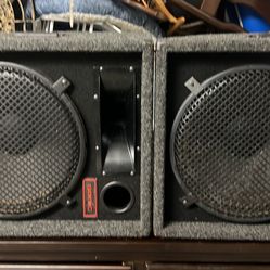 15 Inch Good Condition Like New Pair Of Speakers