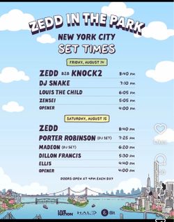 Zedd in the park nyc