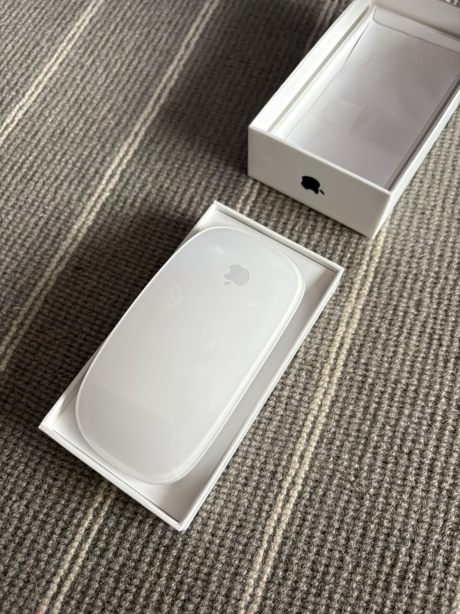 Apple Magic Mouse 2