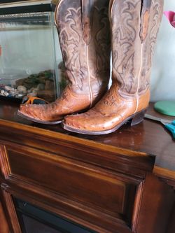 Luchesse Ostrich Women 6.5