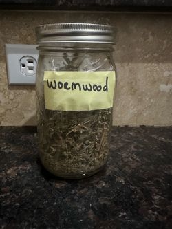Wormwood - Herbal Tea Apothecary Holistic Herbalism