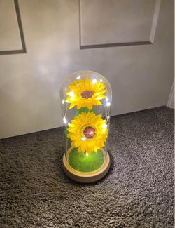 Sunflower light