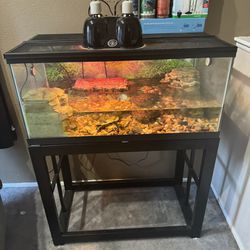 Complete Turtle Tank And Stand Setup!