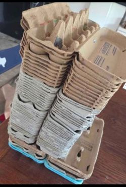 egg cartons