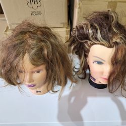 Mannequins  Cosmetology 