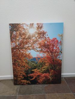 Nature art canvas