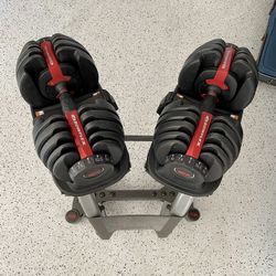 Bowles Dumbbells and Stand