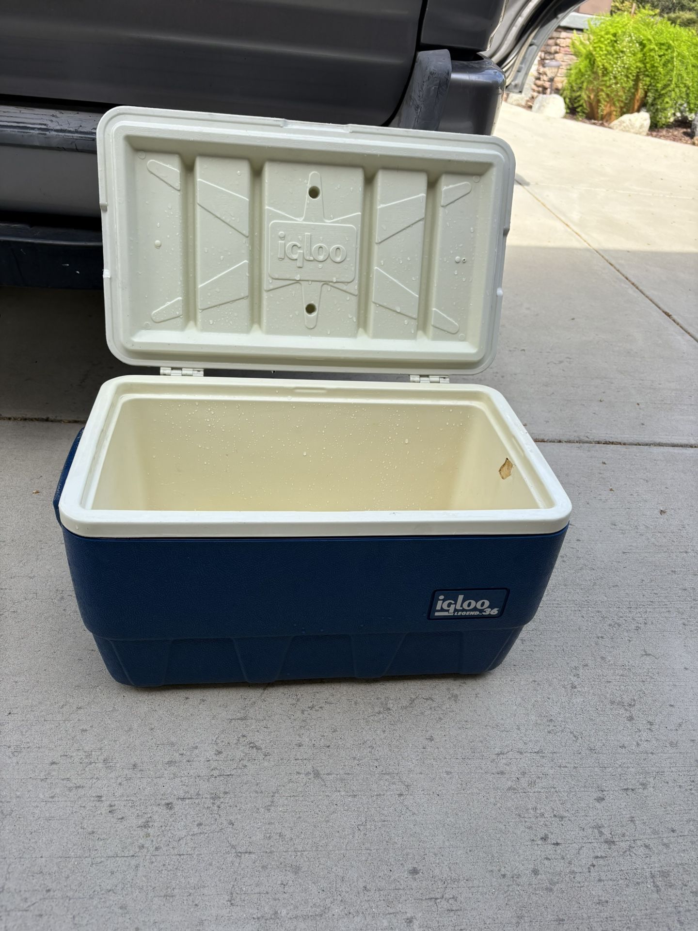 Igloo Ice Chest Cooler 
