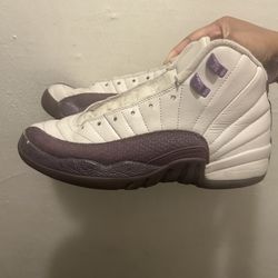 jordan 12