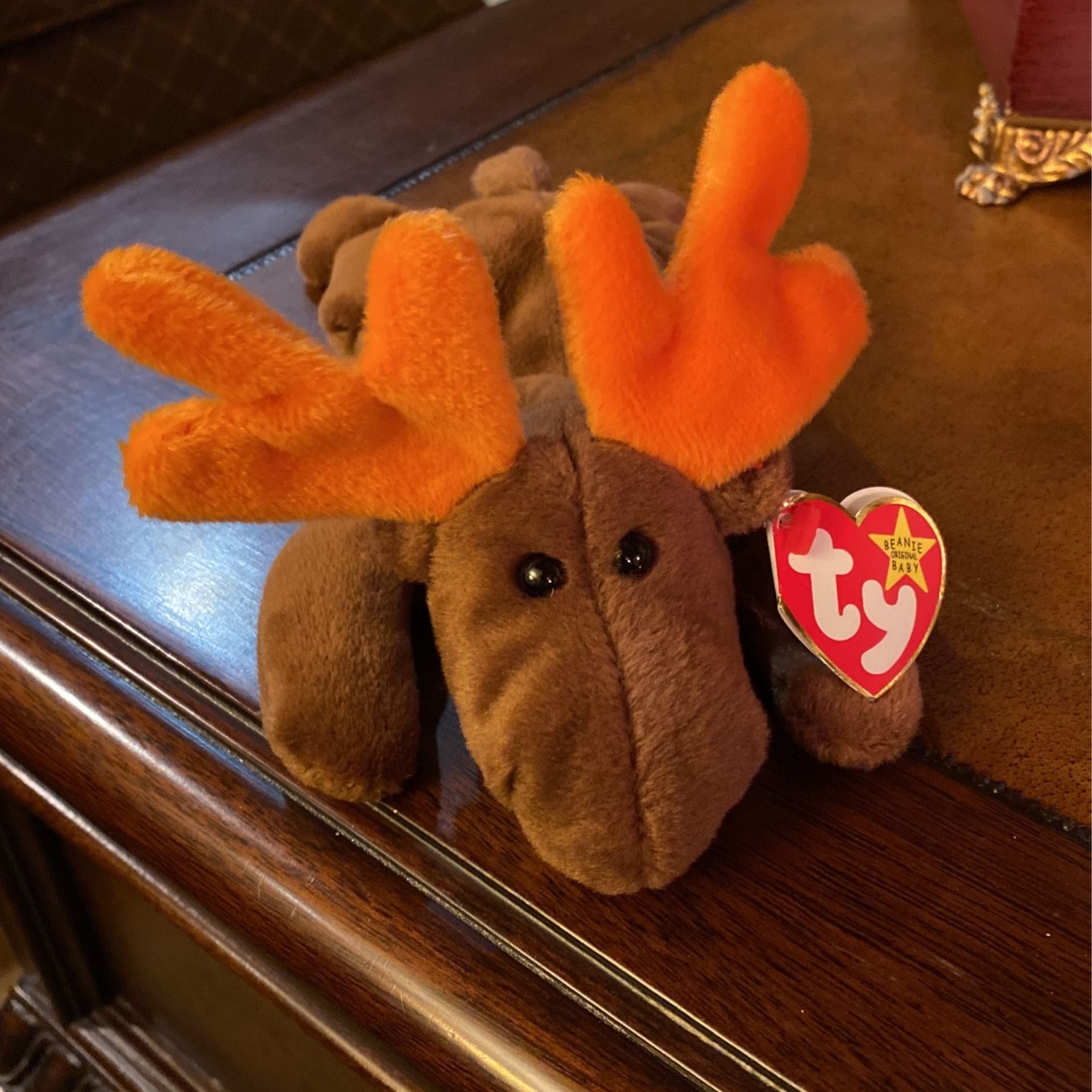 Chocolate The moose beanie Baby