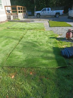 Summer Blend Max Synthetic Grass Roll 2"