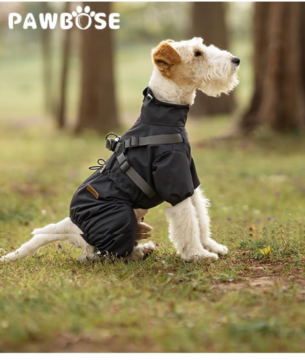 Small Dog Rain Coat Black