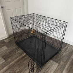 XL dog Items 