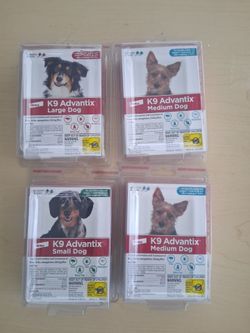 Dog flea cure