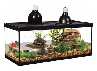 Aquatic Turtle Kit