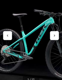 Trek Roscoe 29” MTB Frame