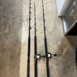 Ocean Fishing Rod & Reels