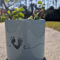 New Born Baby Plant Arrangement (Real)