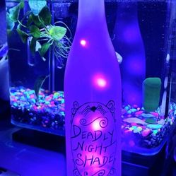 Light Up LED Bottle