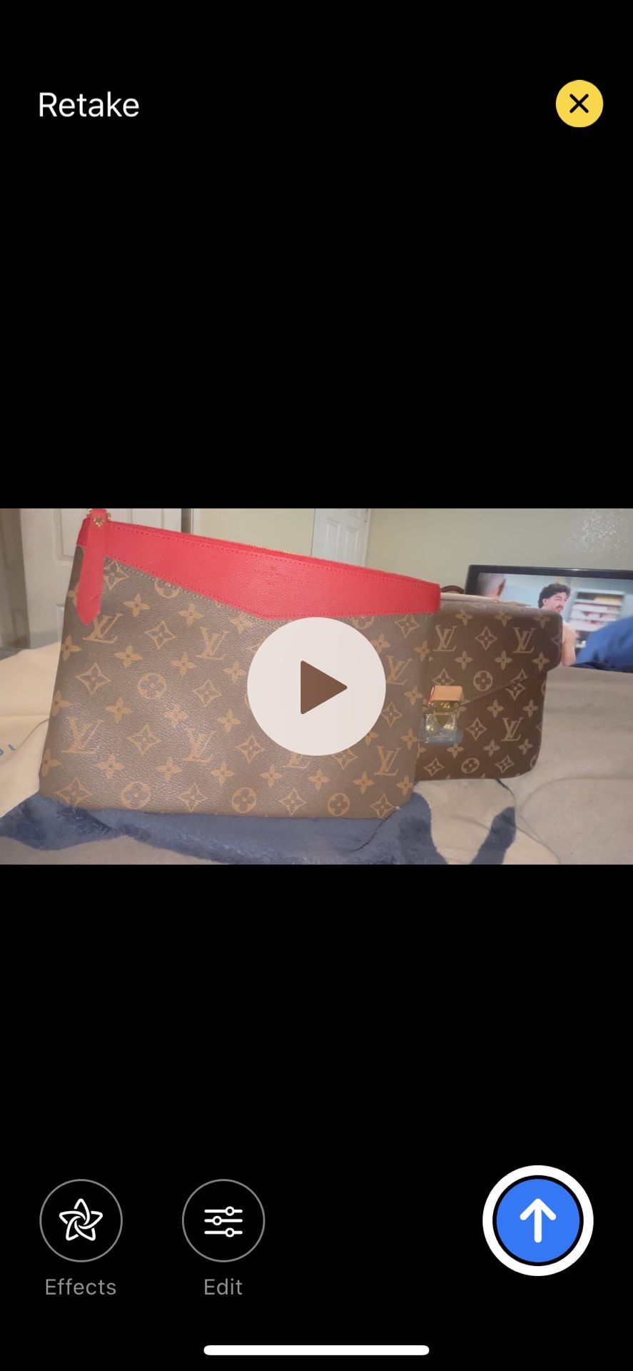 Louis Vuitton Bags 